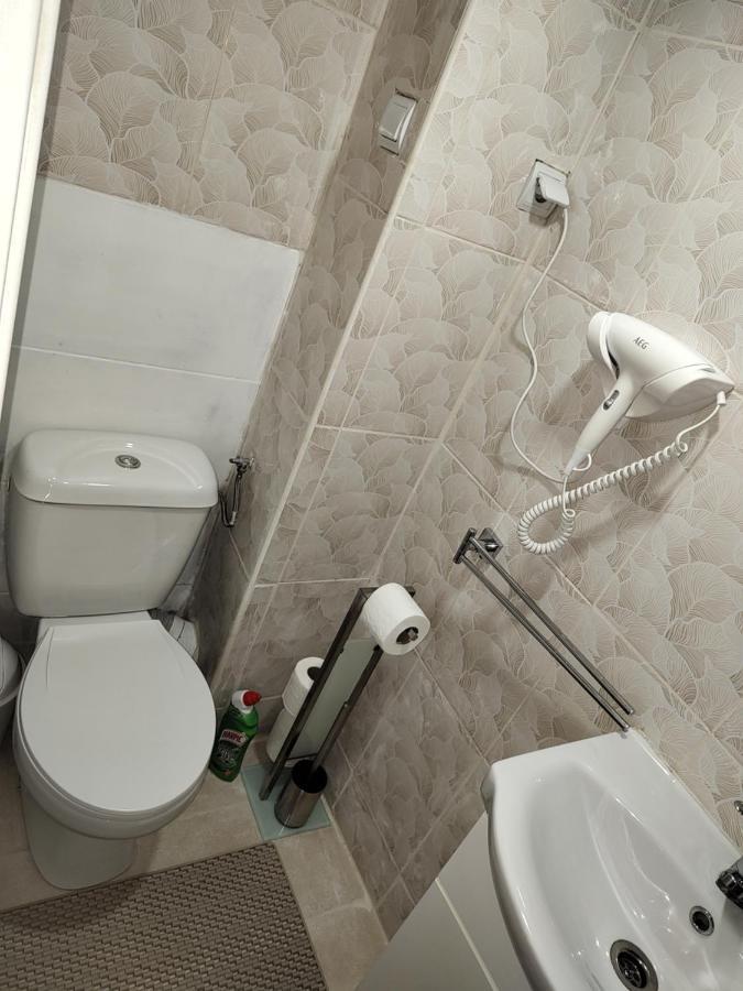 Elefant Apartment Baia Mare Exterior foto